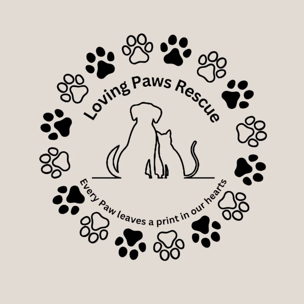 R10 Donation – Loving Paws Rescue