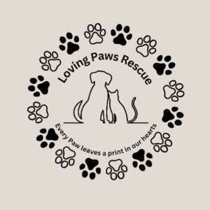 R50 Donation – Loving Paws Rescue
